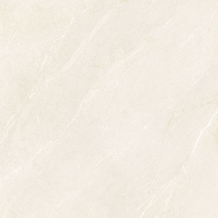 Dhara Sand Matte 48 x 48